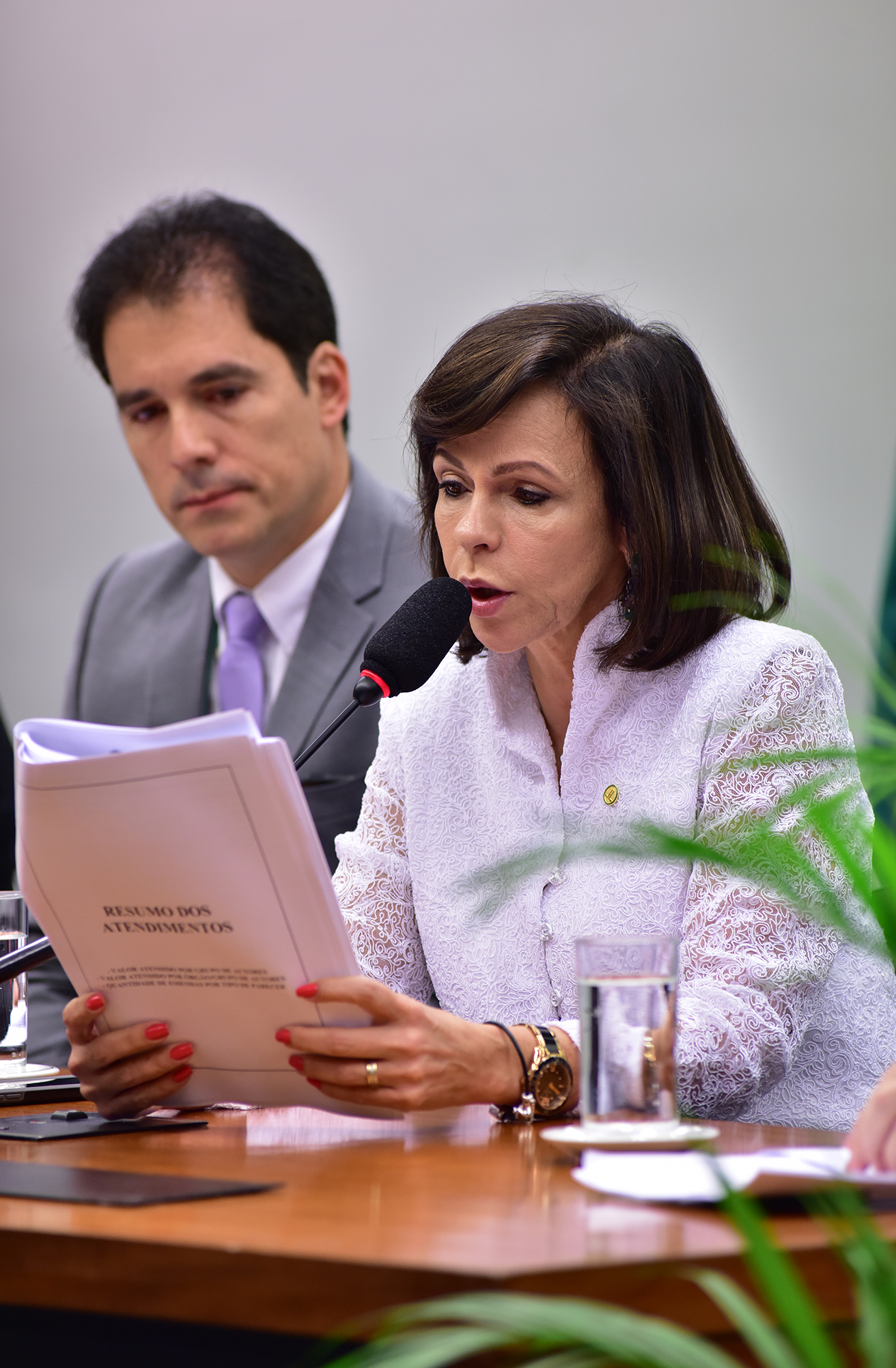 Reunião Extraordinária. Dep. professora Dorinha Seabre Rezende (DEM-TO)